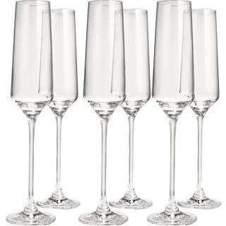 Celebration Champagneglas 19cl, 6-pak - Anders Petter