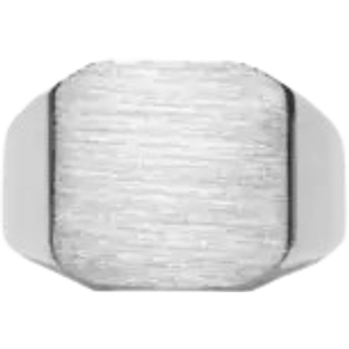 IX Studios Octacon Signet ring DMN0290RH (54)