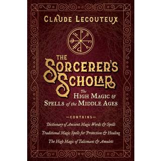 The Sorcerer's Scholar