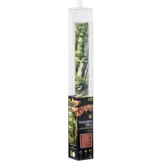 Galapagos (05421 Forest Terrarium Cling 40 gallon flerfarvet