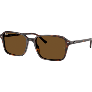 Ray-Ban Raimond  - RB2231 902/57 5818