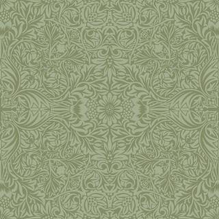 Ceiling - Green
