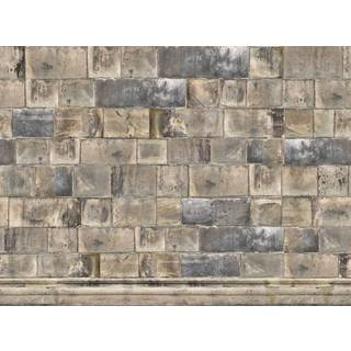 Sandstone Bricks - 9541W