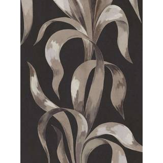 Agave - 9608W