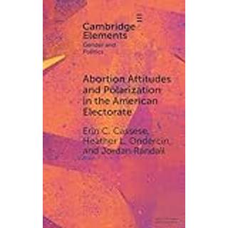 Abortion Attitudes and Polarization in the American Electorate