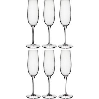 Luigi Bormioli Palace Champagneglas 6 stk. Klar - 23,5 cl.