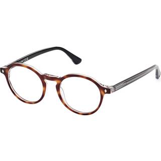 Web Unisex WE5440 056 Optiske stel Acetat Havana Rund Normal