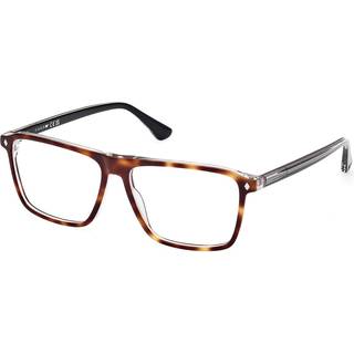 Web Mand WE5442 056 Optiske stel Acetat Havana Firkantet Normal