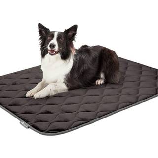 Paw-inspirerede vaskbare, polstrede kassemtter til hunde | 47 x 29 Pad Passer til 48-tommer kenneler | Lkagett vandtt bund i plys-kledyrssen