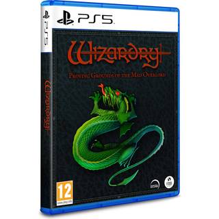 Wizardry: Proving Grounds of the Mad Overlord - Sony PlayStation 5 - RPG