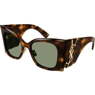 SAINT LAURENT Kvinde SL M119/F BLAZE 002 Solbriller Acetat Havana Grøn Cat Eye Normal