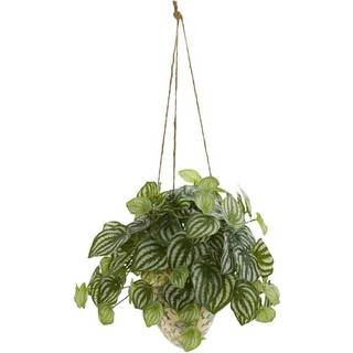 24 vandmelon Peperomia kunstig plante i hængende vase (ægte berøring)