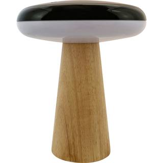 2 Ways Genopladelig Bordlampe