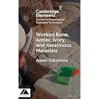 Worked Bone, Antler, Ivory, and Keratinous Materials