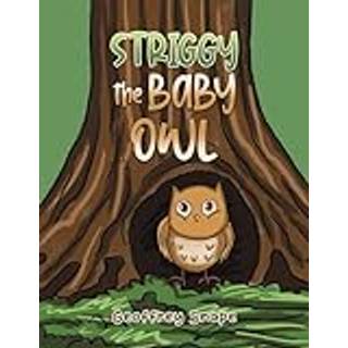 Striggy the Baby Owl