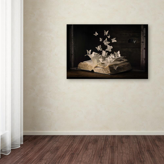 Lepidopterologi af Heather Bonadio 22x32-tommer lærred vægkunst