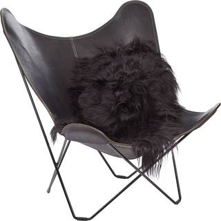 Lammeskind | Langhåret | Island | 120+x60 cm