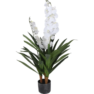 Kunstig Orkidé - 90 cm - 2-grenet - Hvide blomster - Kunstig blomst i sort potte