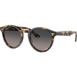 Ray-Ban Larry - RB7680S 1332GL 4921