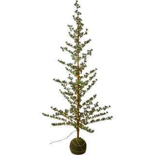Dacore Cedertræ Med Kuglefod og Lyskæde Med Adapter 170 cm - Grøn