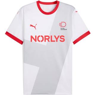 Men&#39;s Puma Danish Handball Federation 24/25 Away Jersey, White, Size L, Clothing - Cool Light Gray - L