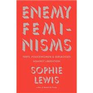 Enemy Feminisms
