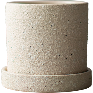 DBKD Grow potte Ø10 cm med underskål Creme structure