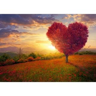 Wonder Forge Tree of Love 1000 Piece Jigsaw Puzzle For Voksne | Unikke perfekt passende stykker | Sjovt livlige billeder | Amazon eksklusiv