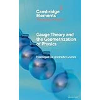 Gauge Theory and the Geometrization of Physics