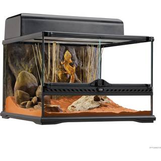 ExoTerra terrarium 45 x 45 x 30 cm.