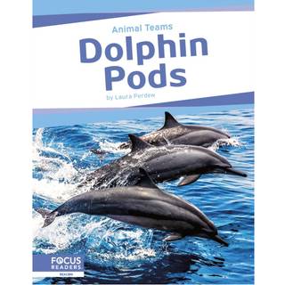 Dolphin Pods