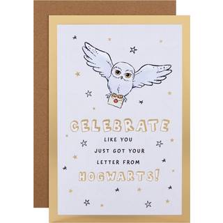 Hallmark f?dselsdagskort - Harry Potter Hedwig Owl & Letter Design