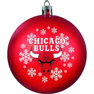 NBA CHICAGO BULLS SKUDTROOF BALL PORNAMENT