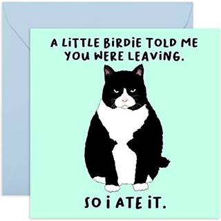 Central 23 - Sjovt pensionskort - 'En lille birdie? Du forlader' - kollega, der forlader gaver - farvel & farvel kort - sjovt held og lykke, vi v