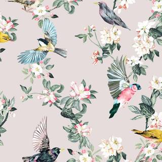 Joules Wallpaper Handford Garden Birds 118562