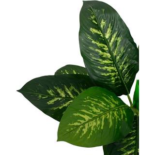 Kunstig plante 90 cm høj - Dieffenbachia Tropic Snow med flotte store blade