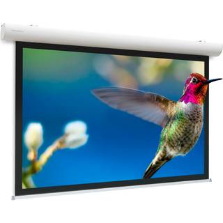 Da-Lite Elpro Concept projection screen 3.63 m (143") 4:3