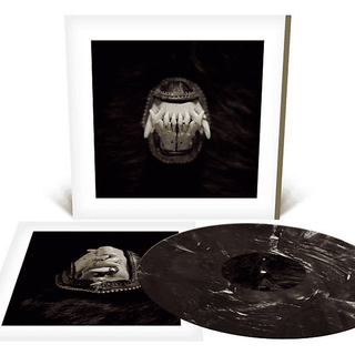 Amenra - De Toorn