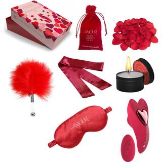 Dream Toys Amour The Secrets of Love Panty Play Kit