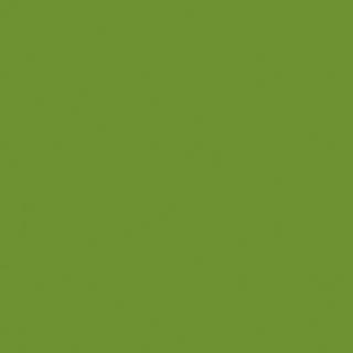 DUNI BIO DUNISOFT Serviet 20x20 cm Leaf Green 2880 stk (202957)