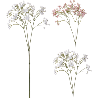 Koopman Gypsophila
