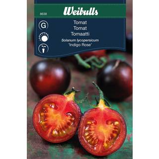 Tomatfrø (Tomat 'Indigo Rose')