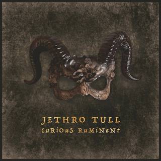 Jethro Tull - Curious Ruminant