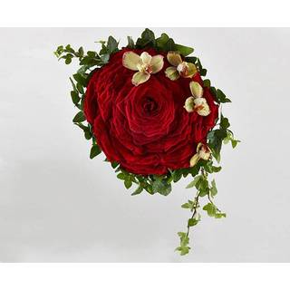 Syet rose i rød