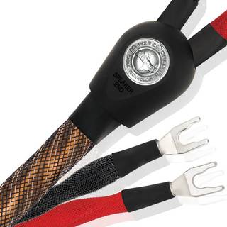 Gold Eclipse 8 signalkabel ➞ Trustpilot topscorer på Wireworld service! ➞ Køb rente- og gebyrfrit her!