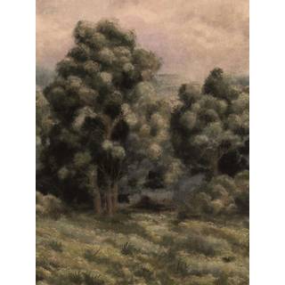 Misty Forest - 9594W