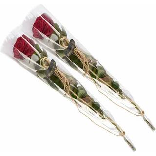 2 elegante røde roser, gavepakket
