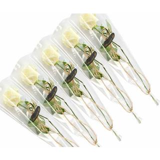 5 elegante hvide roser, gavepakket