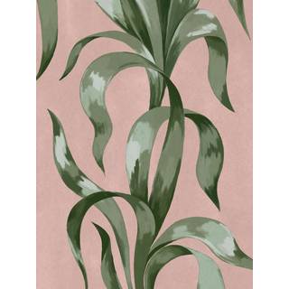 Agave - 9607W