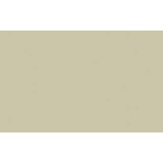 Portland Stone™ - Absolute Matt Emulsion - 1 L